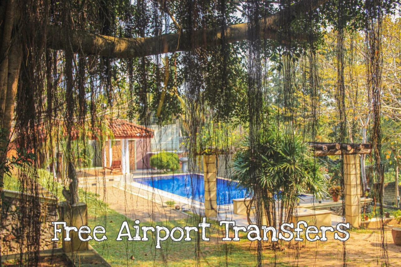 Katunayaka Airport Green Olive Villa מראה חיצוני תמונה